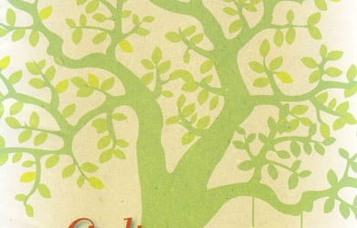 Affiches journées